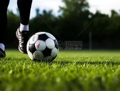 开云,体育,资讯,开云体育官网,开云体育app,开云体育下载,开云官网