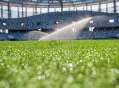 哈兰德辉煌,战英超,球成就力压,开云体育官网,开云体育app,开云体育下载,开云官网