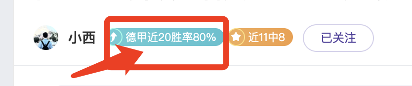 灰熊对战骑,专家质合分,析及前区十,开云体育官网,开云体育app,开云体育下载,开云官网