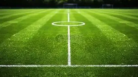 《童年足球梦起航：普利希奇心系欧洲绿茵，鲁尼、菲戈偶像光芒照亮征途》