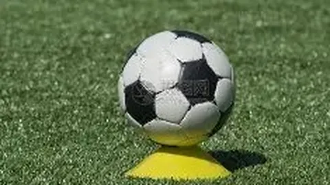 《女篮国手集结令！WCBA间歇期特训，每队最多两员精英归队备战》