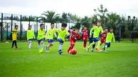 曼丹达在法甲的挣扎与心酸历程