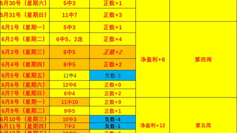 开云体育 142706